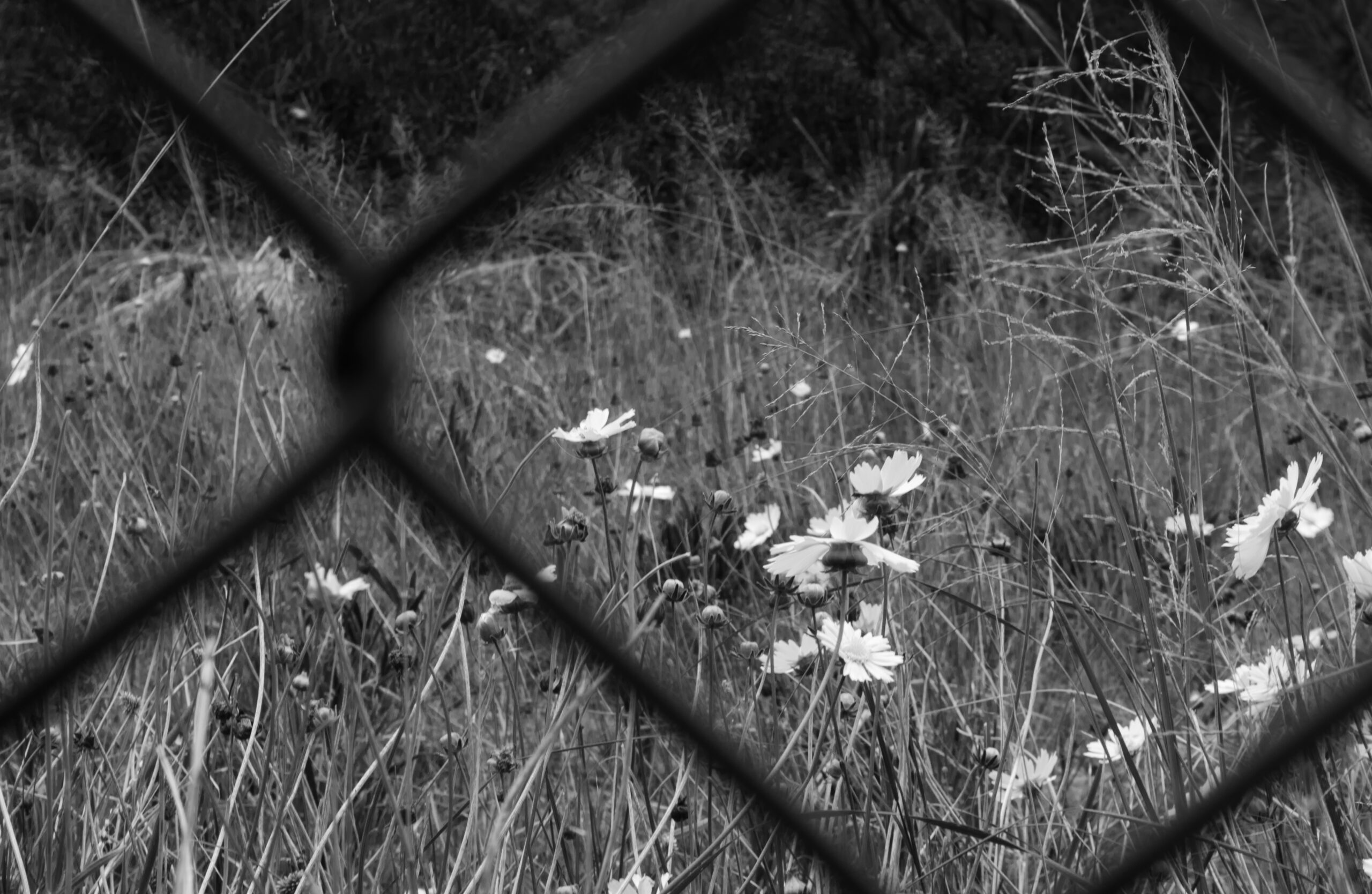 Black and white portrait photography